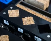 Bacteria Bricks in Mold